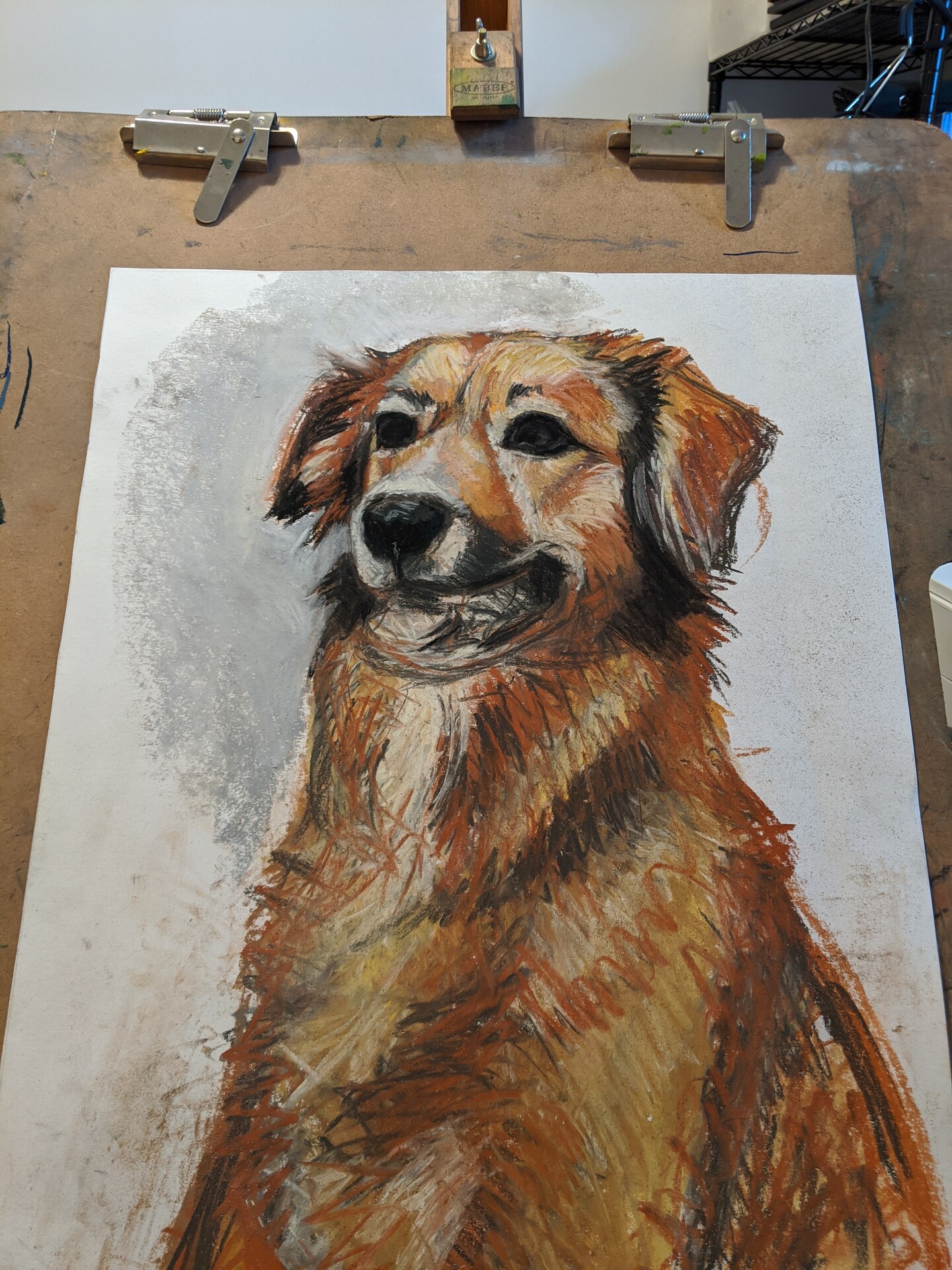 How to draw your pet using prismacolor nupastels image 3