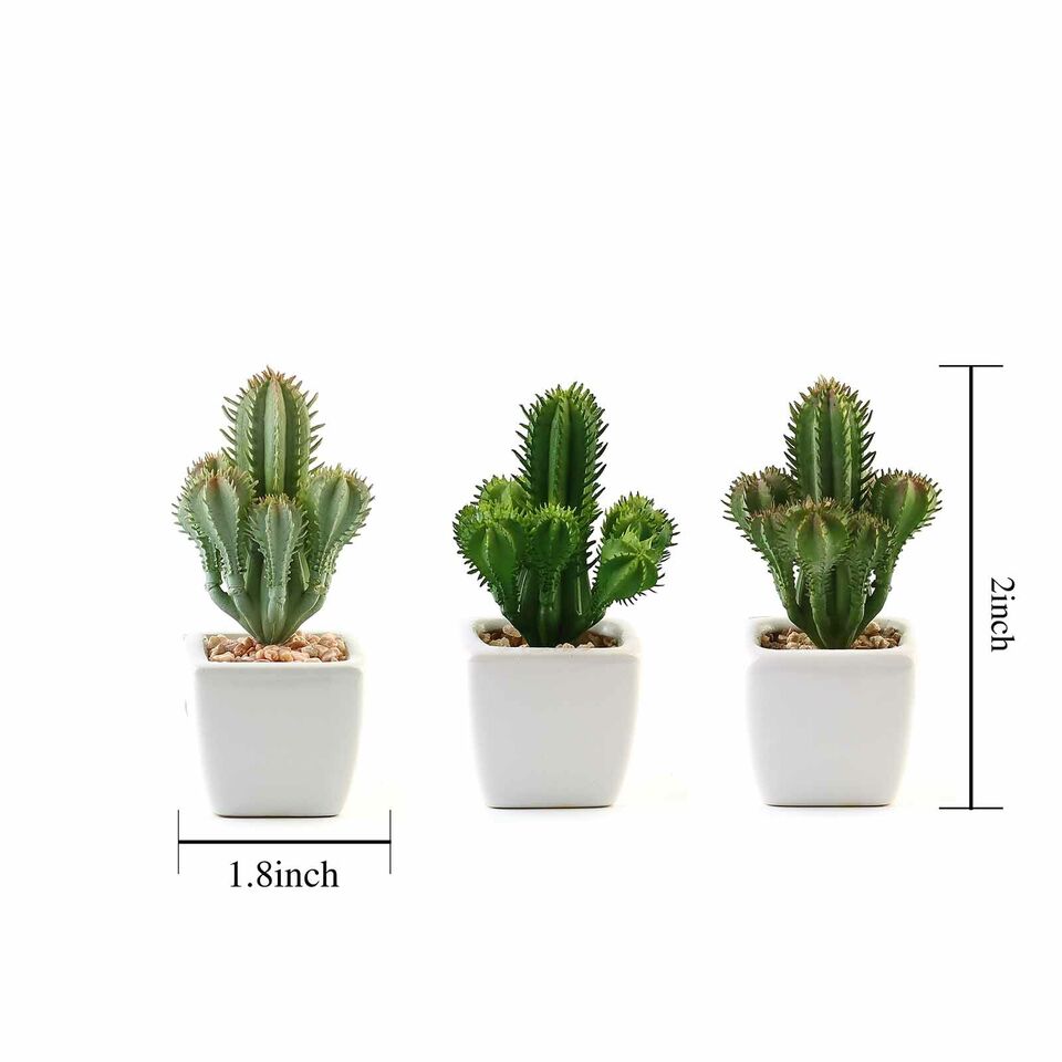 Green 3 Assorted 5" Artificial Faux Succulent Cactus Plants Off White Pots