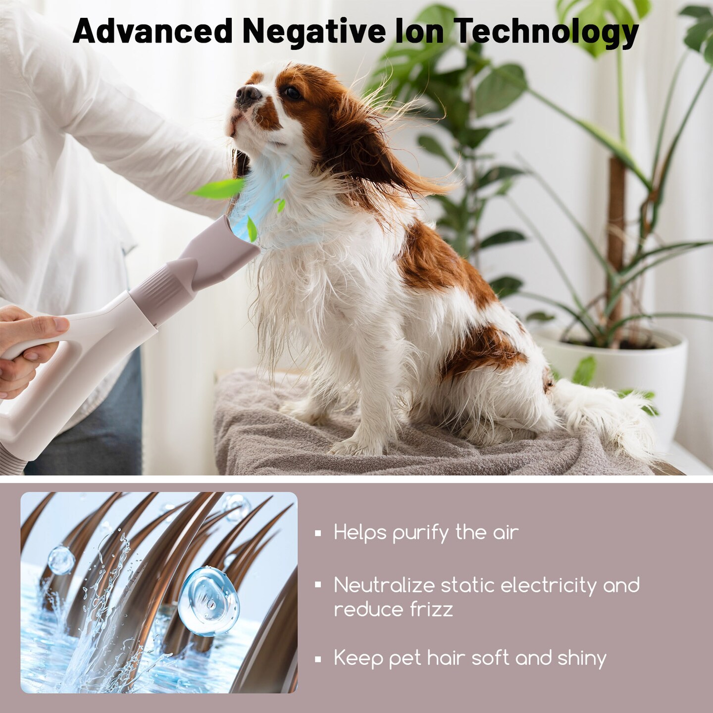 Dog Cat Hair Blower With Negative Ion Function And Adjustable Temperature