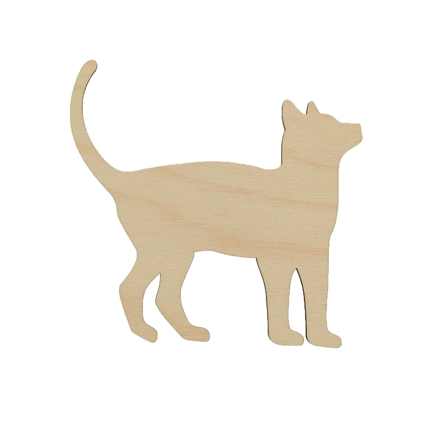 Essentials By Leisure Arts Arts Flat Wood Shape 24pc Cat