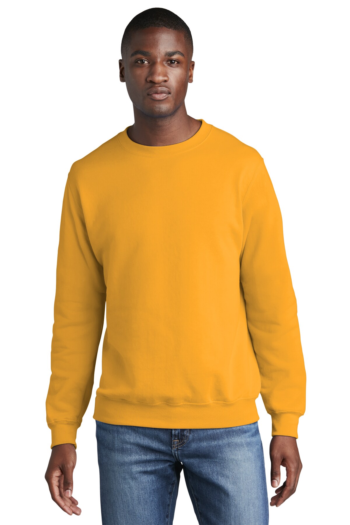 Premium Fleece Crewneck Sweatshirts - PC78 | Experience the Perfect Blend of Style and Comfort | RADYAN&#xAE;