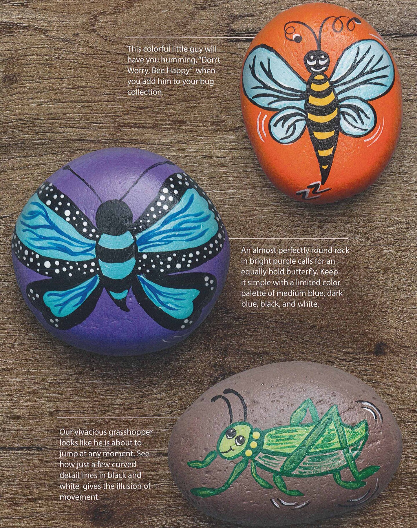 Leisure Arts Rock Painting Crafting Book