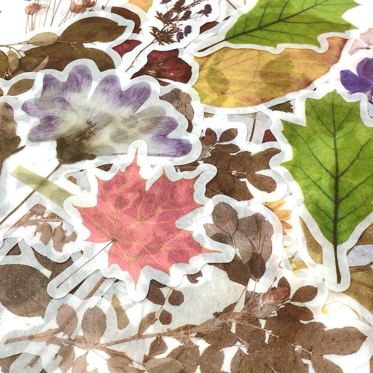 Wrapables Decorative Scrapbooking Washi Stickers, DIY Crafts for Stationery, Diary, Card Making (60 pcs)