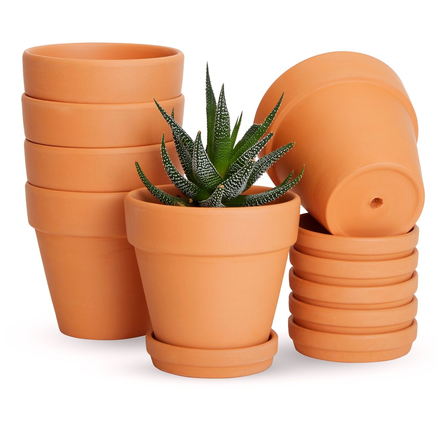 4-inch 6 Pack Small Terracotta Pots with Saucer and Drainage Hole - Clay Planter for Indoor and Outdoor Succulents, Flowers and Plants