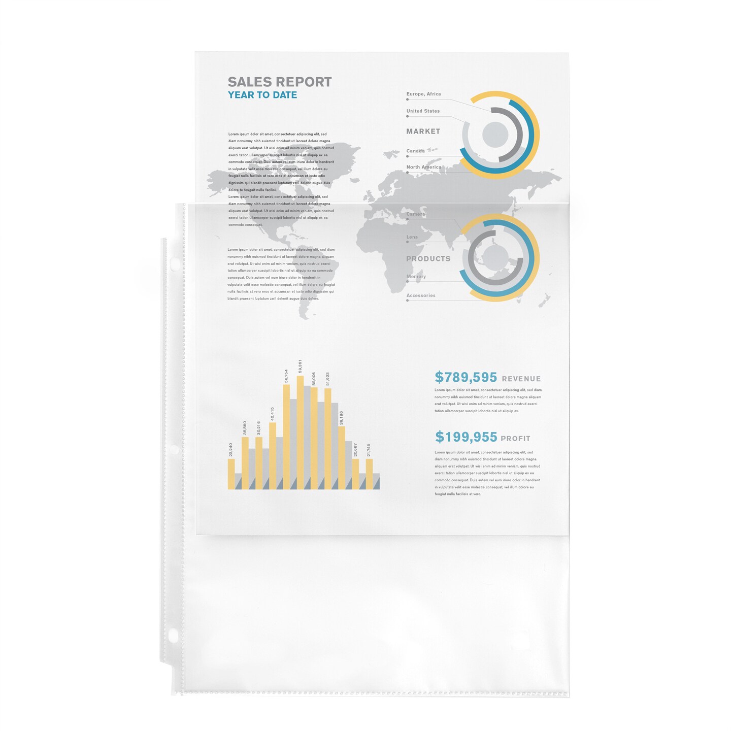 Avery Clear Economy Sheet Protectors, Top Load, 100 Document Protectors (75183)