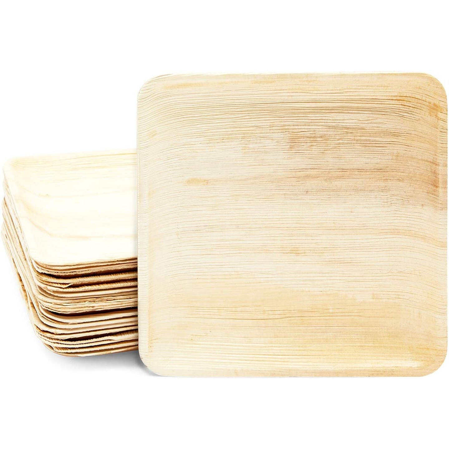 Square Areca Palm Leaf Plates, Single-Use Party Dinnerware (10 In, 24 Pack)