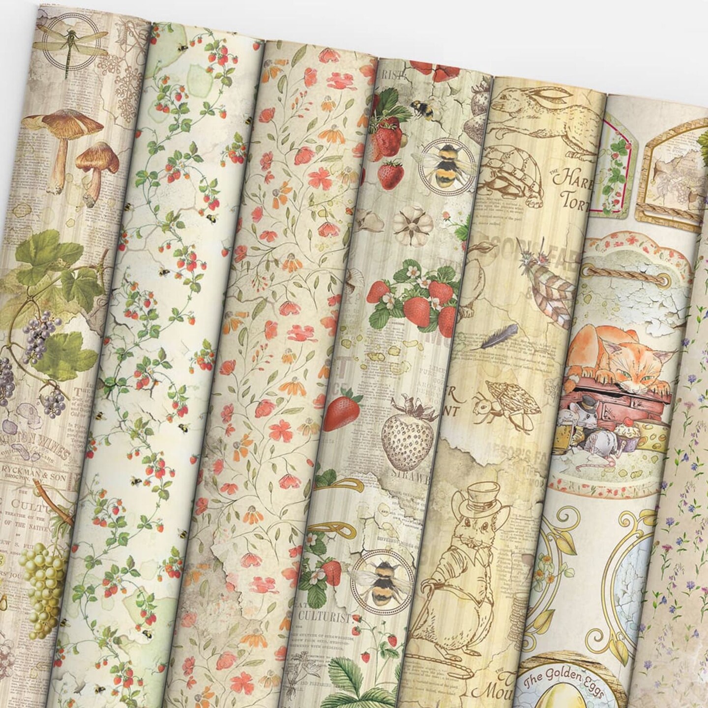 Ciao Bella  Aesop&#x27;s Fables Patterns Pad 12&#x22;X12&#x22; 8/Pkg