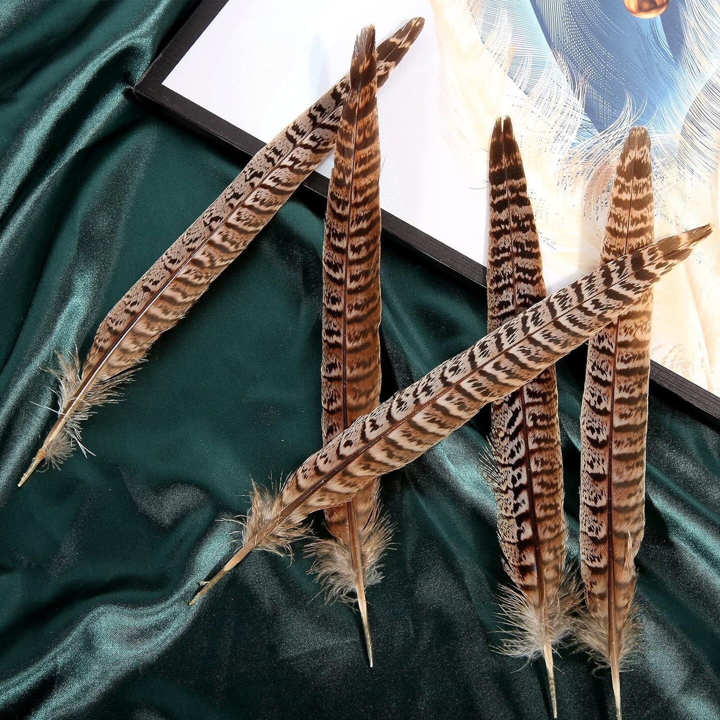 24pcs Natural Wild Turkey Wing Feathers Quill Bulk 6-8inch 15-20cm for DIY Crafts Project Collection Wedding Decoration Wild Turkey Tails Feather