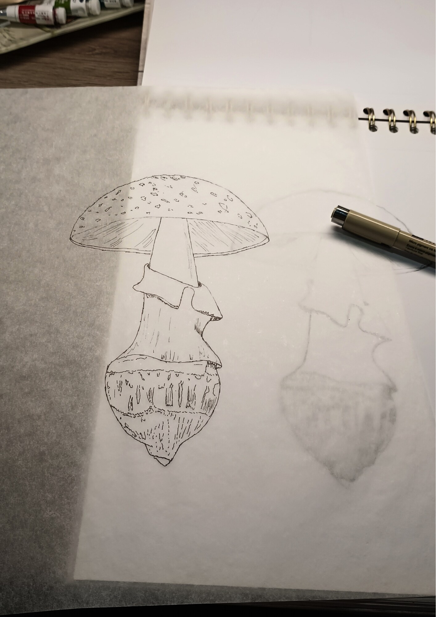 How to transfer a sketch to watercolor paper image 2