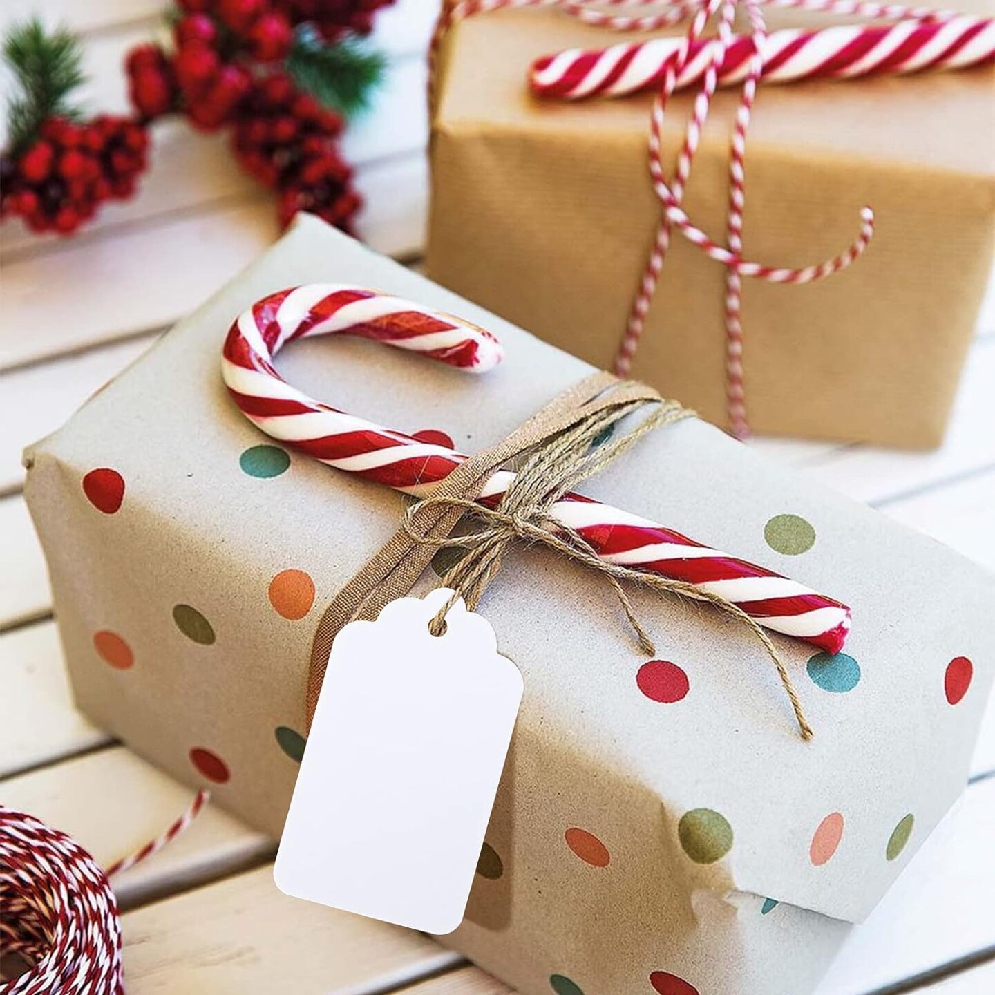 100Pcs Paper Tags,Gift Tags with String,Blank Gift Bags Tags,White Kraft Labeling Tags for Crafts Wedding Christmas Thanksgiving Holiday,Party Favors Tags,Gift Wrap Tags (2.75&#x22;x1.57&#x22;)
