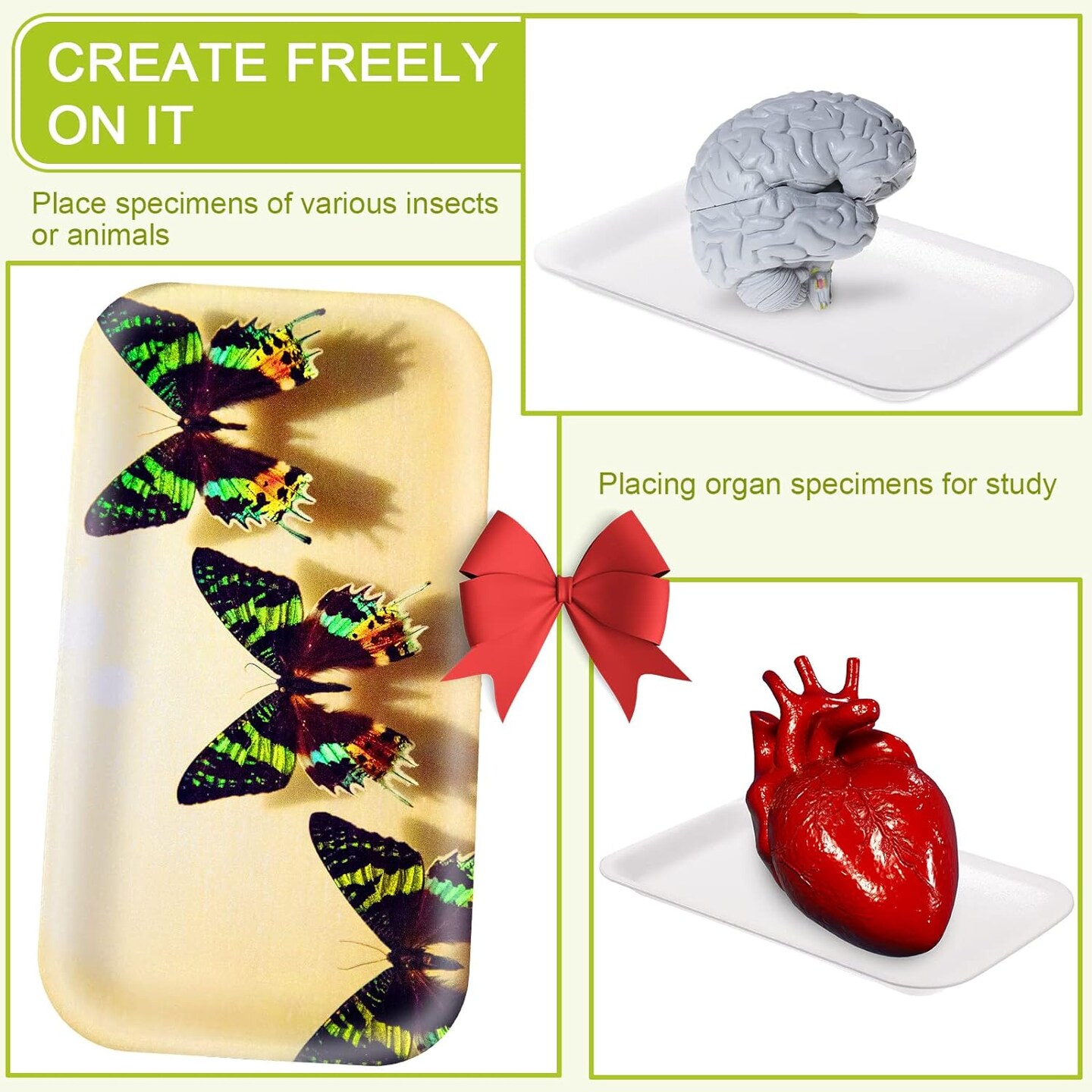 50 Pcs Crafts Foam Trays, White Foam Meat Tray Food Tray Paint and Ink Mixing Trays Rectangle School Printmaking Foam Trays for DIY Art Craft Dissecting(8 x 4 x 1 Inches)