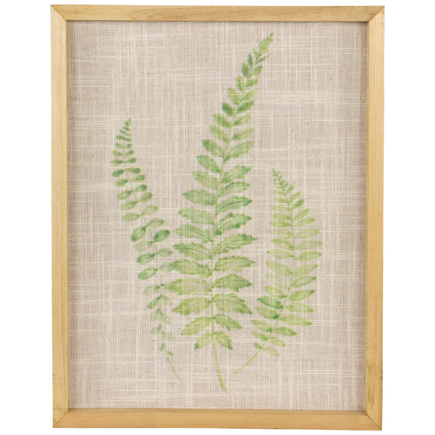 Northlight Framed Fern Leaf Print on Burlap Wall Art - 16" - Beige