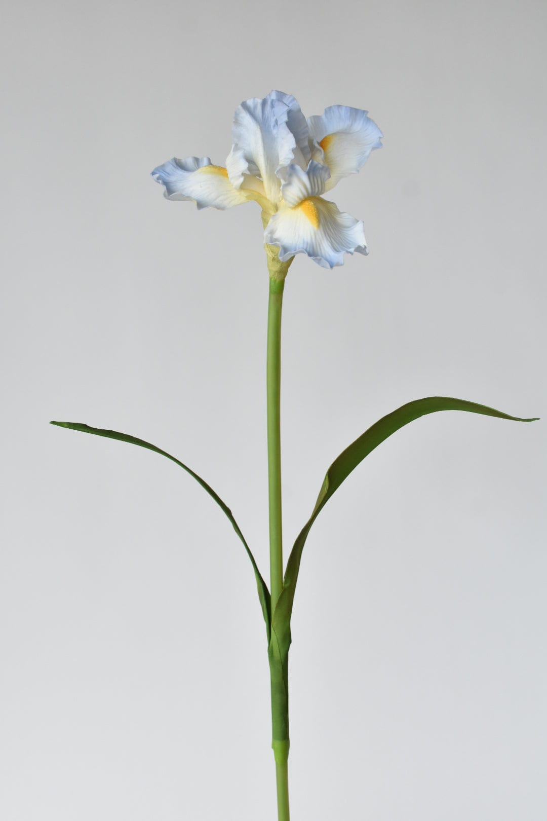 30&#x22; Real Touch Faux Light Blue Iris Stem