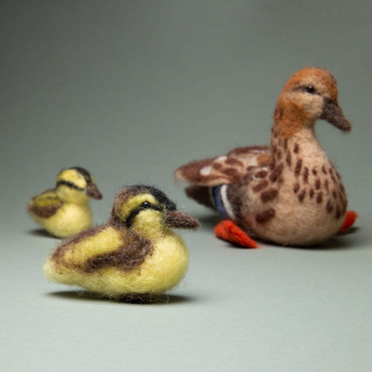 Friendly family