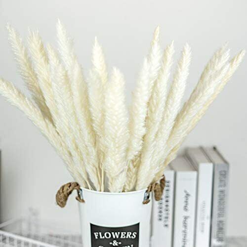 30 Pampas Natural Dried Stems for Stylish Bouquets &#x26; Home Decor