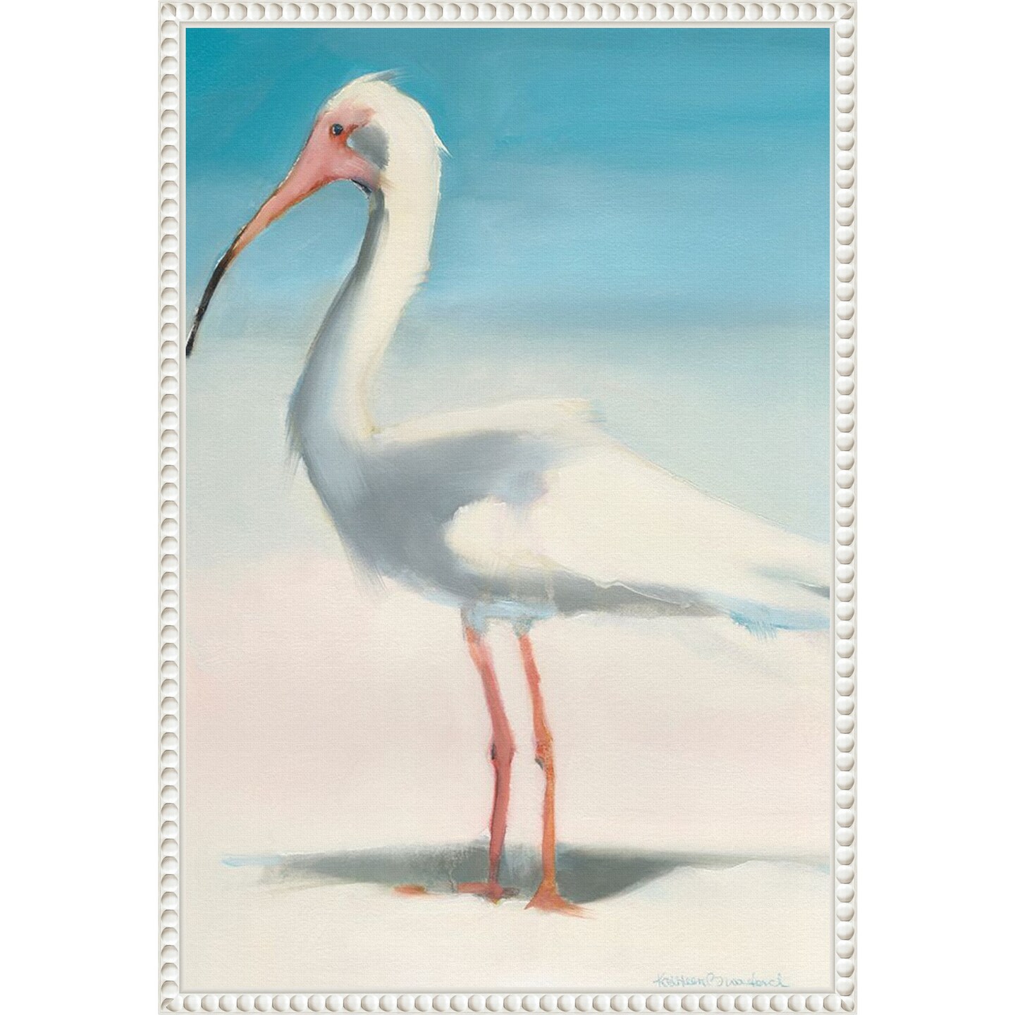 Boca Ibis by Kathleen Broaderick Framed Canvas Wall Art
