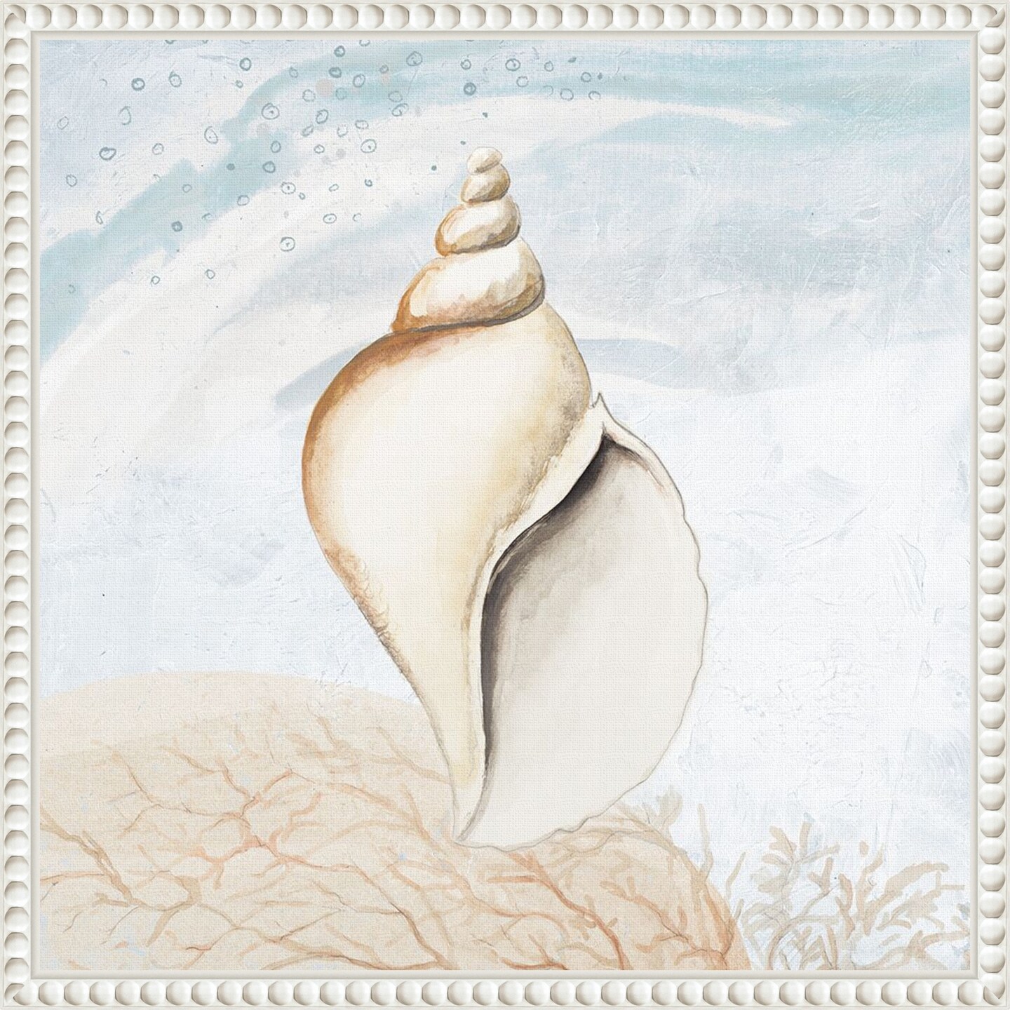 Ocean Oasis Tropical Seashell I by Patricia Pinto Framed Canvas Wall Art
