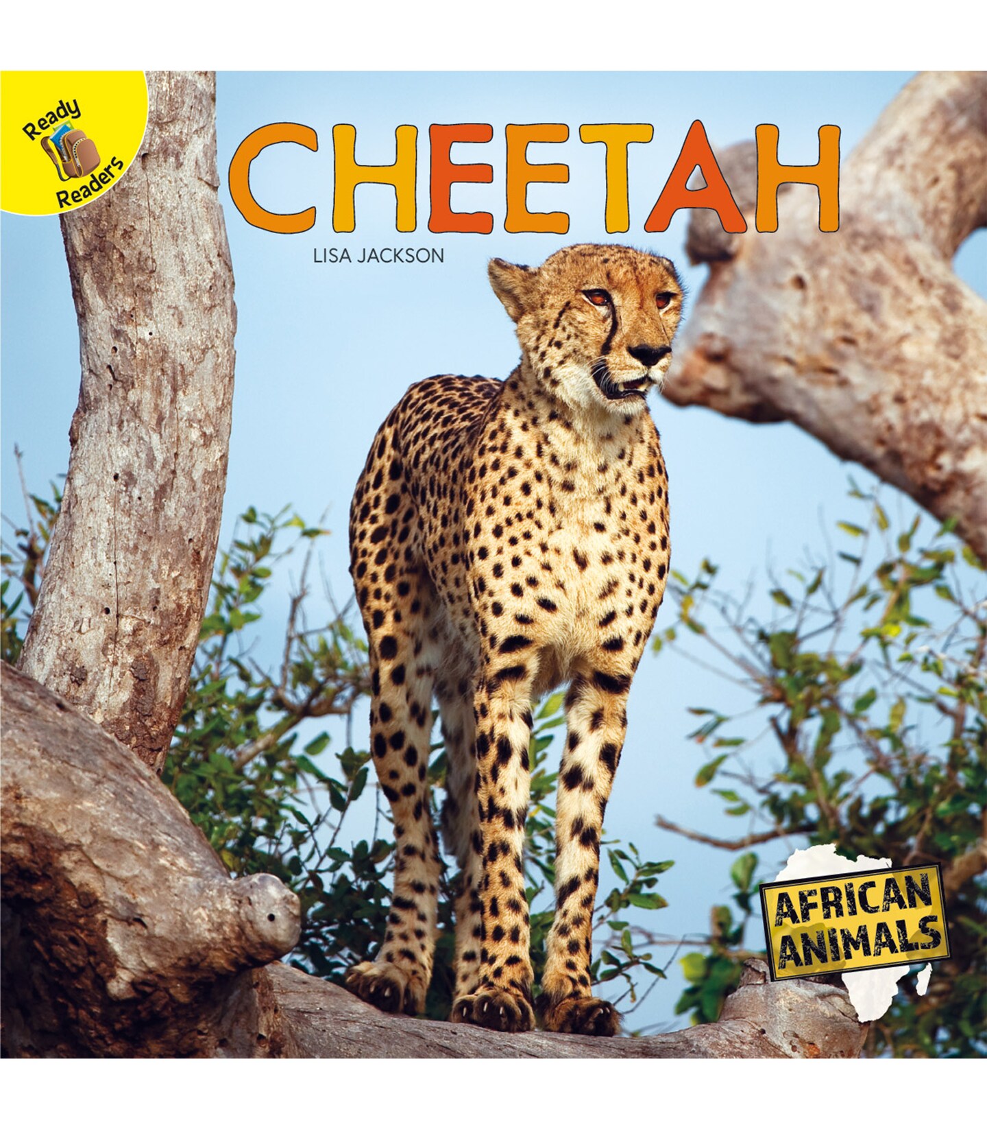 Rourke Educational Media African Animals Cheetah Reader