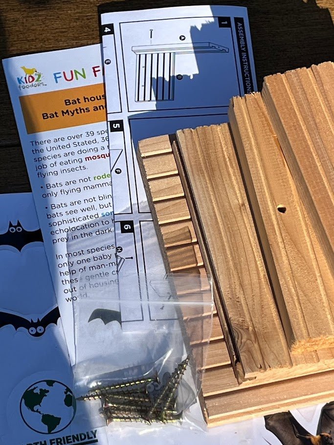 Kids DIY Bat House Kit