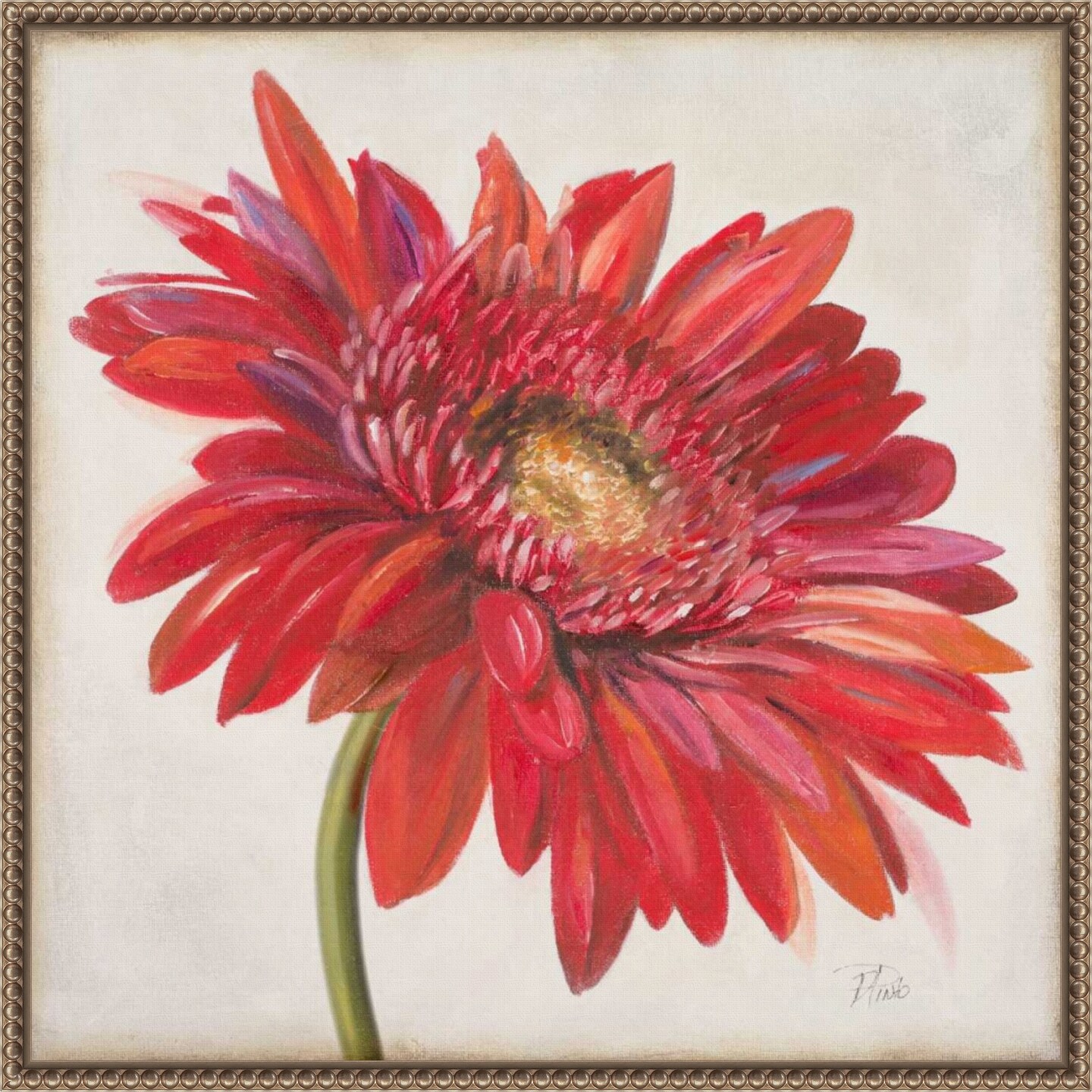 Red Gerber Daisy by Patricia Pinto Framed Canvas Wall Art