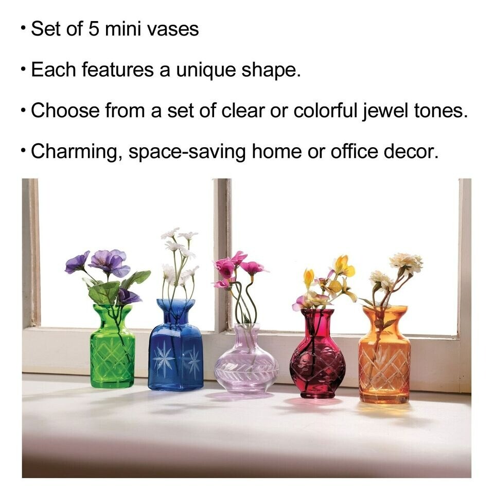 Set of 5 Mini Vases for Flowers - Glass Bud Vases