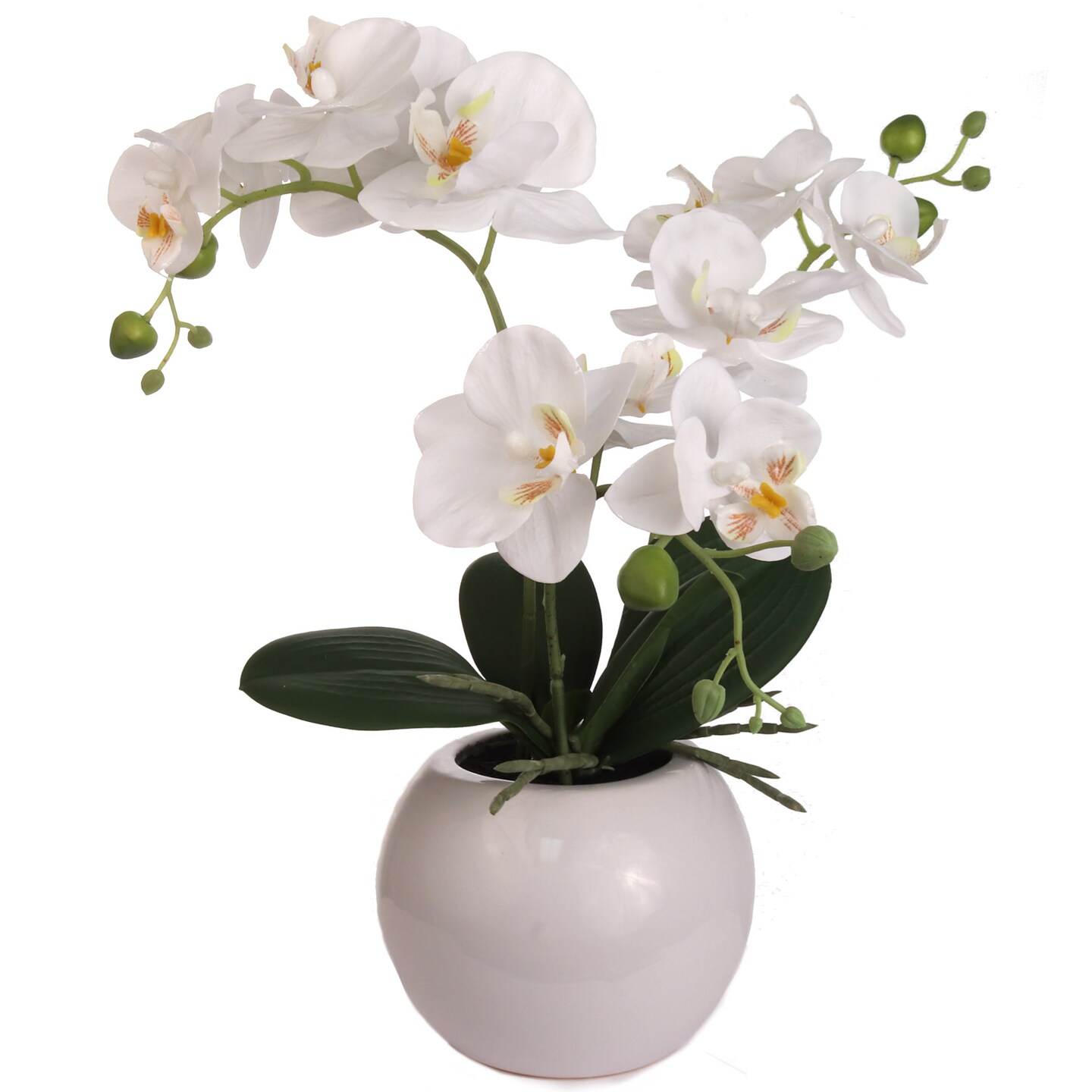 Phalaenopsis Orchid Arrangement: 13-Inch Silk Floral Décor in Pot by Floral Home Artificial Flowers