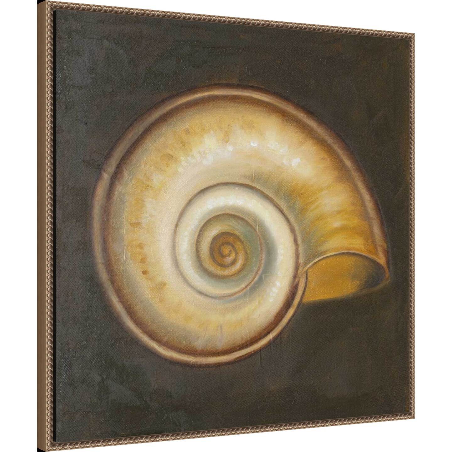 Seashell I by Patricia Pinto Framed Canvas Wall Art