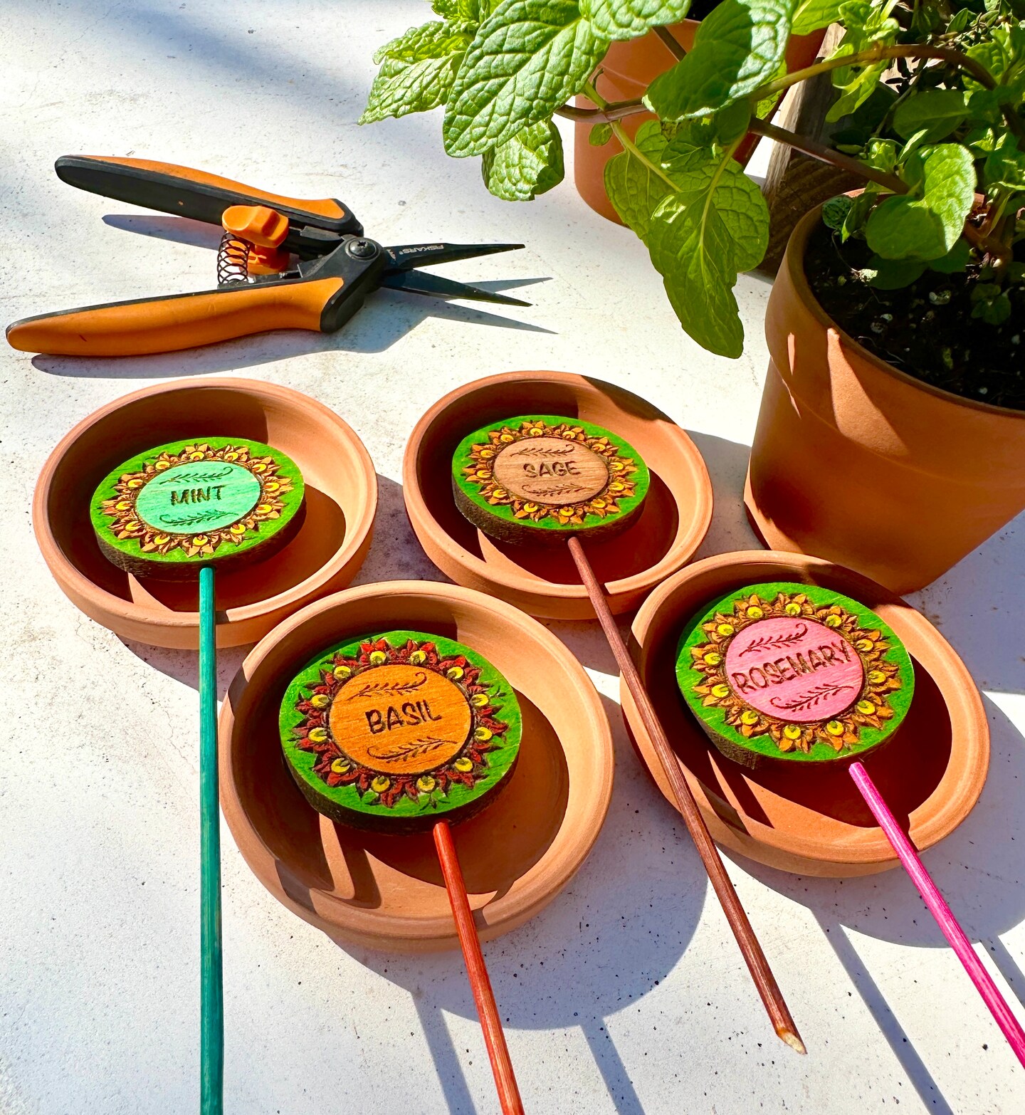 fertilizator plante Ingrasamant pentru plante verzi (NPK 8-3-6)  Secret Garden Plant Shop