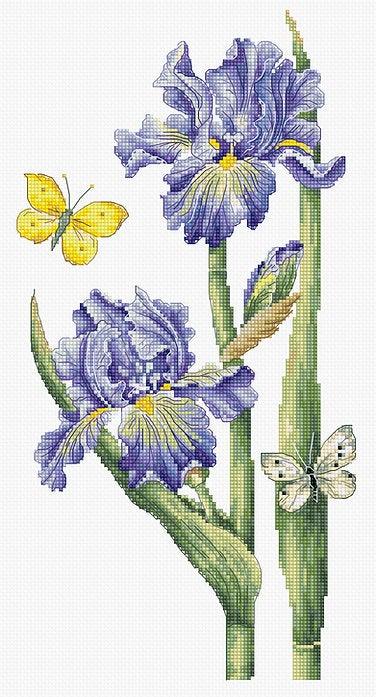 May Iris B7001L Counted Cross-Stitch Kit