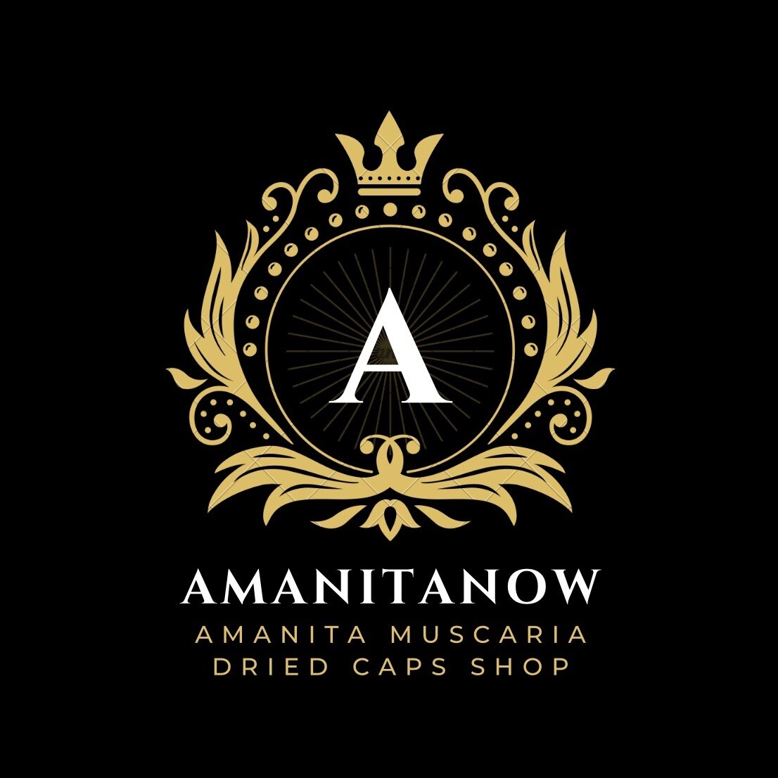 storefront logo