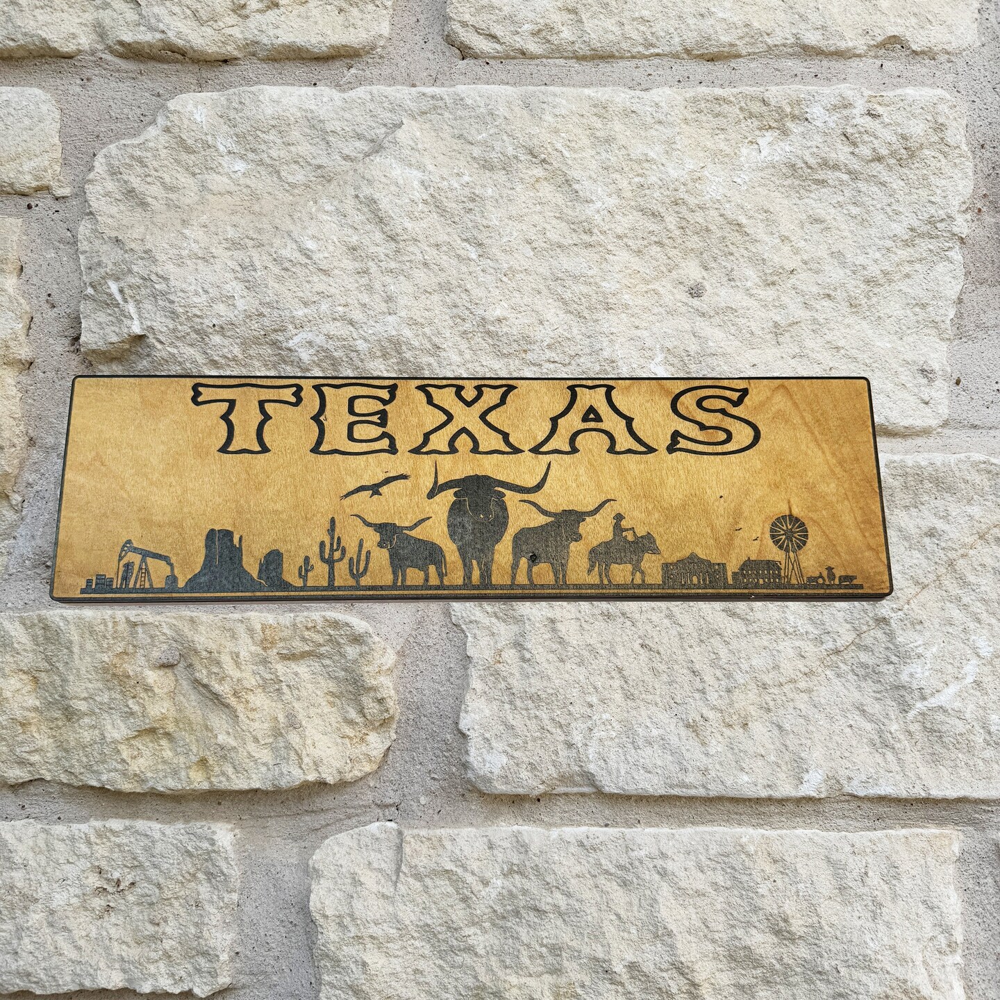 Texas Plaque with Landscape BLACK Sign 3x11