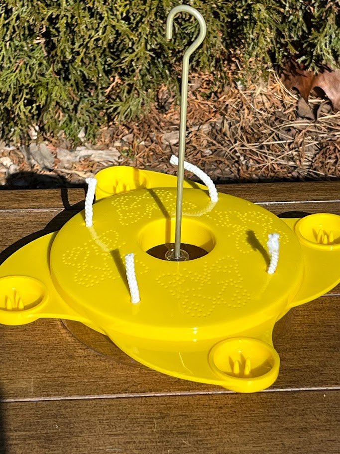 Butterfly Feeder