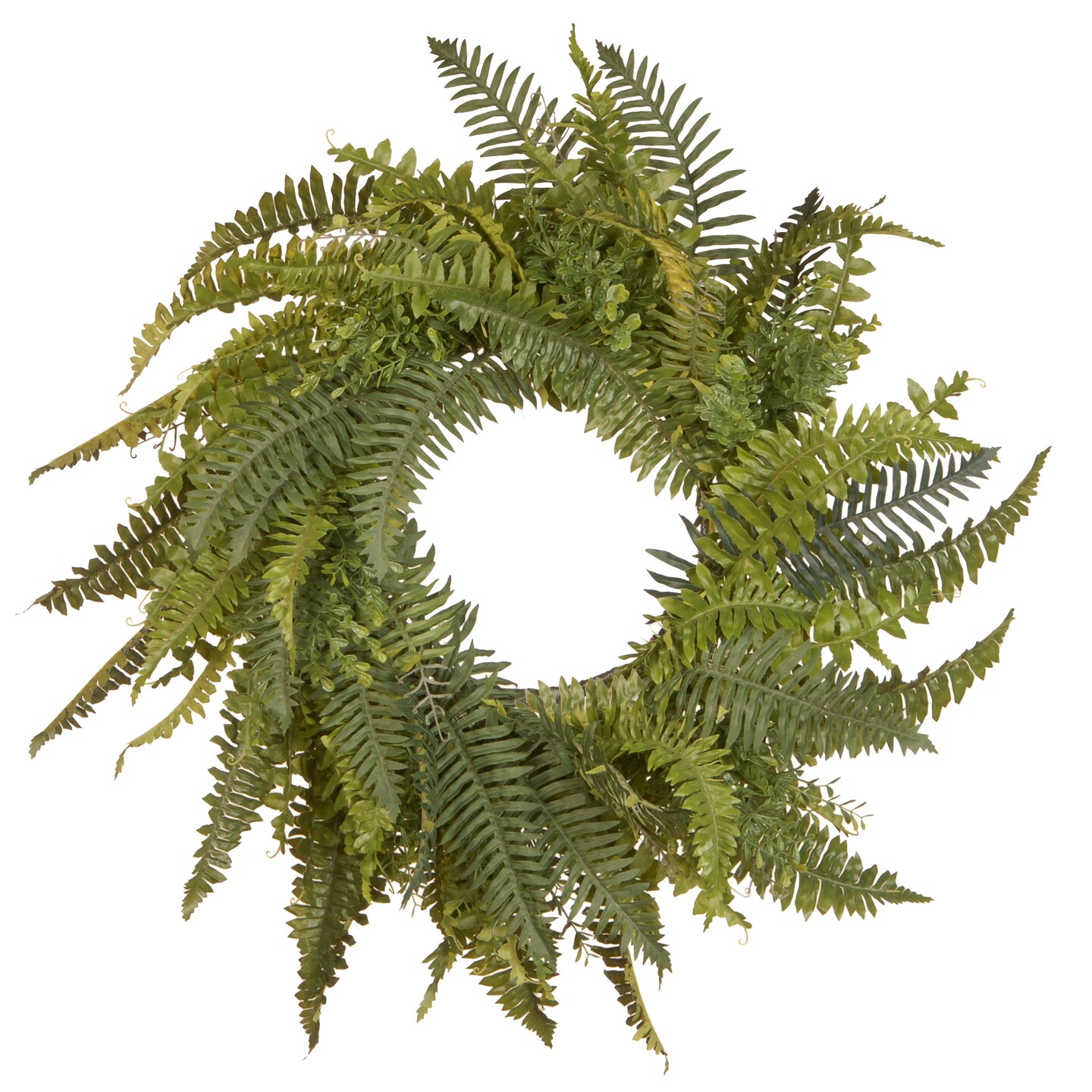 National Tree Company Fern Wreath