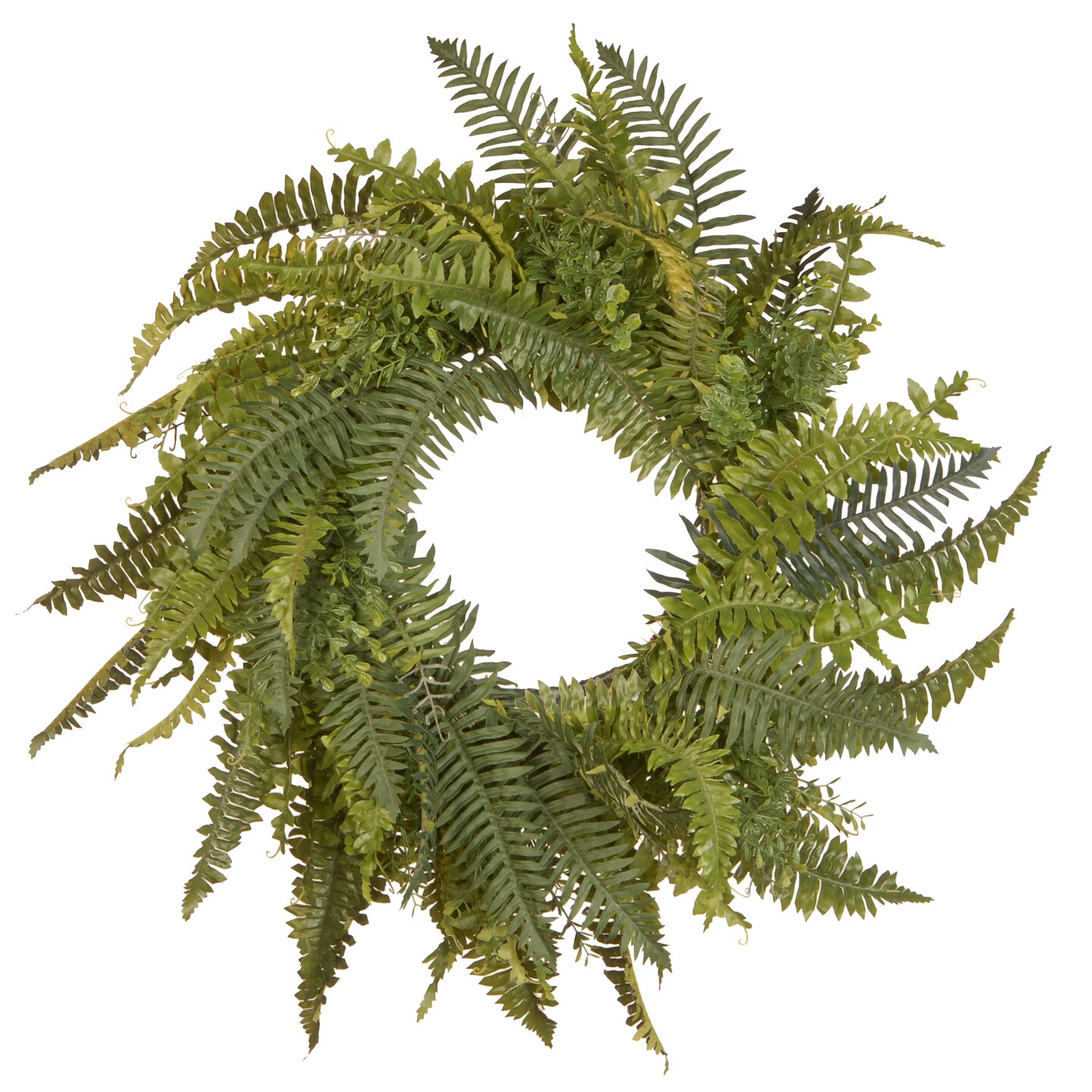 Fern Wreath