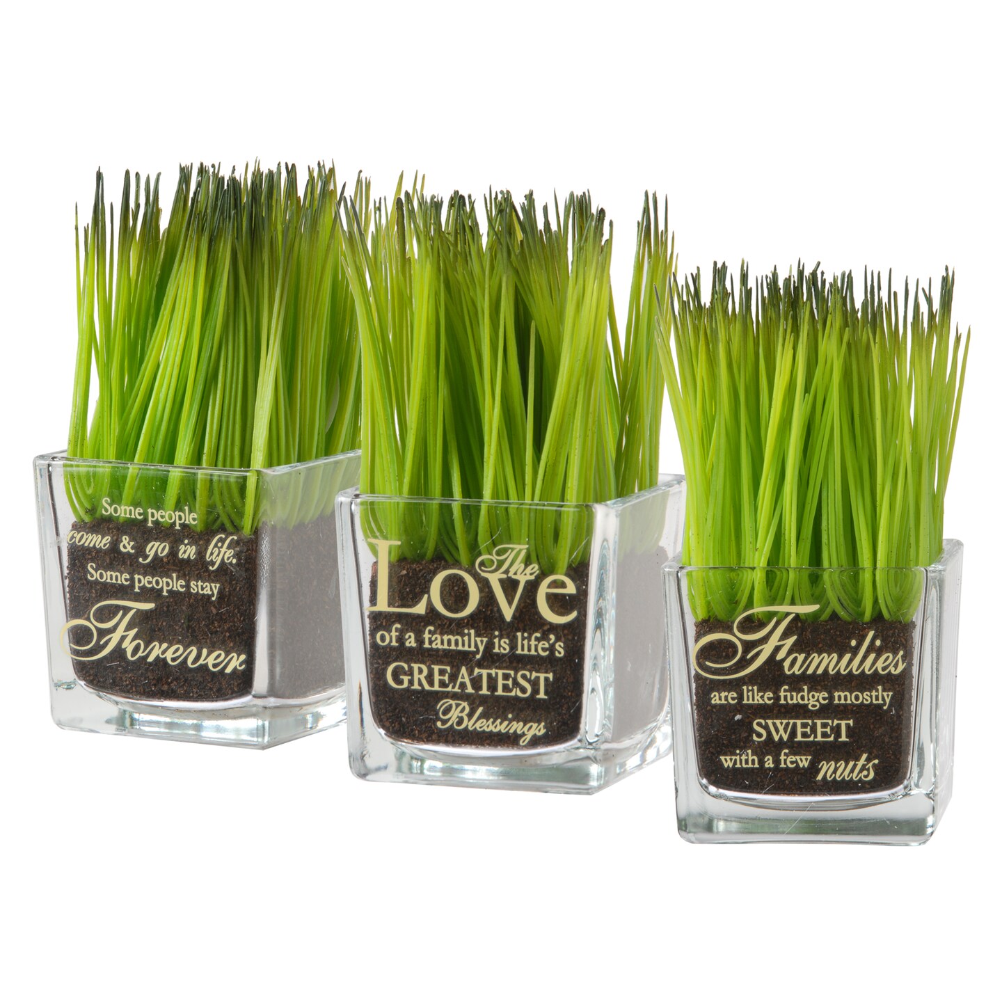 3-Piece Sprout-Filled Glass Assortment