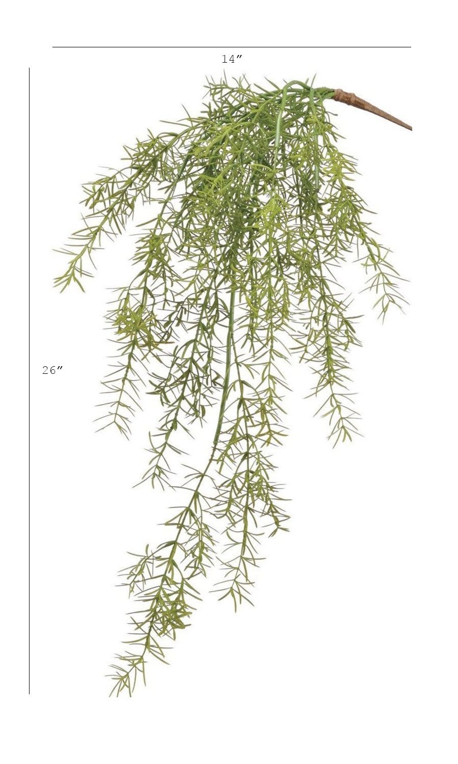 26&#x22; Faux Soft Asparagus Fern Sprengeri Bush
