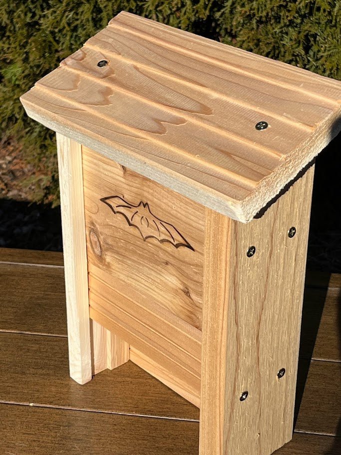 Kids DIY Bat House Kit