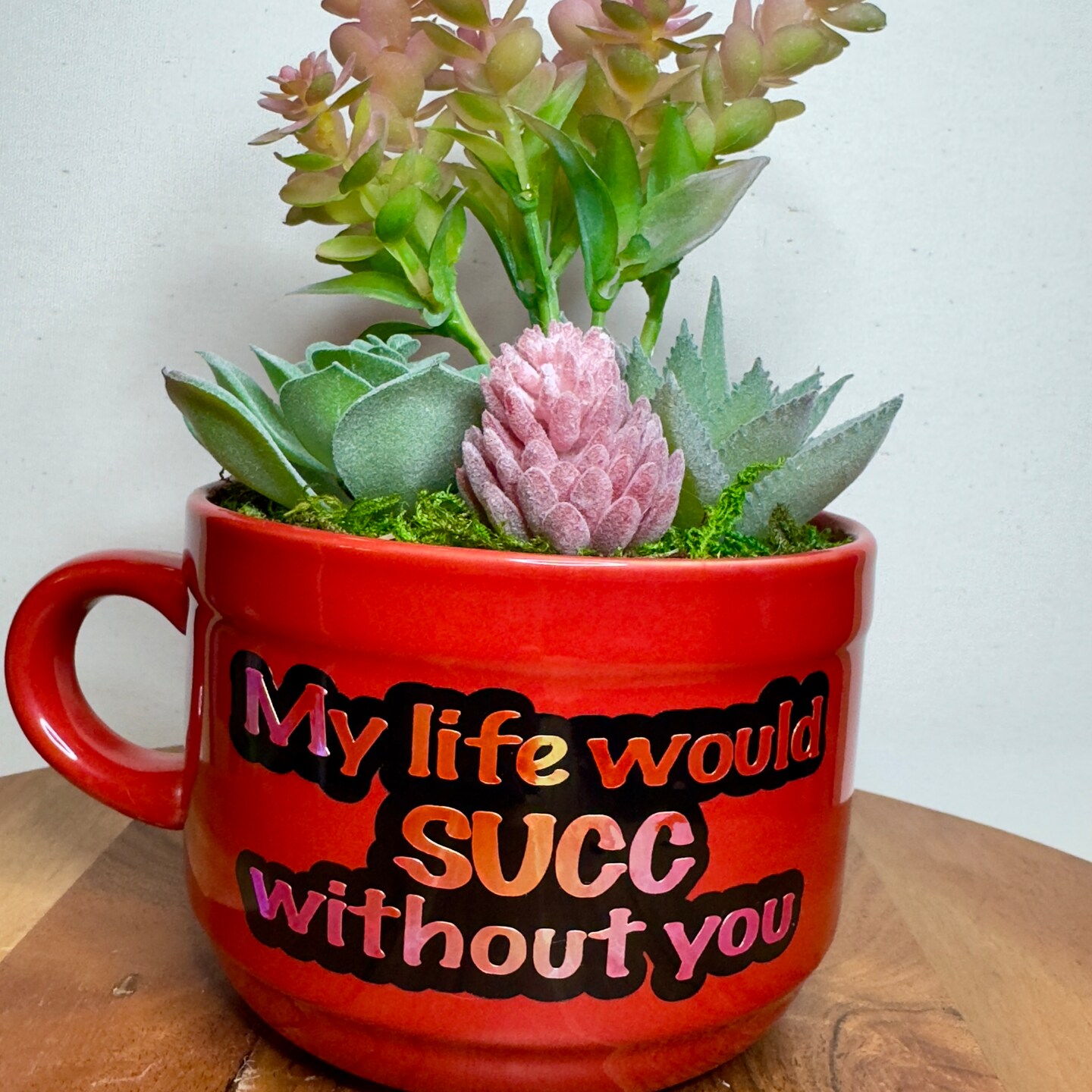 Valentine Succulent Arrangement in a Cup | MakerPlace by Michaels