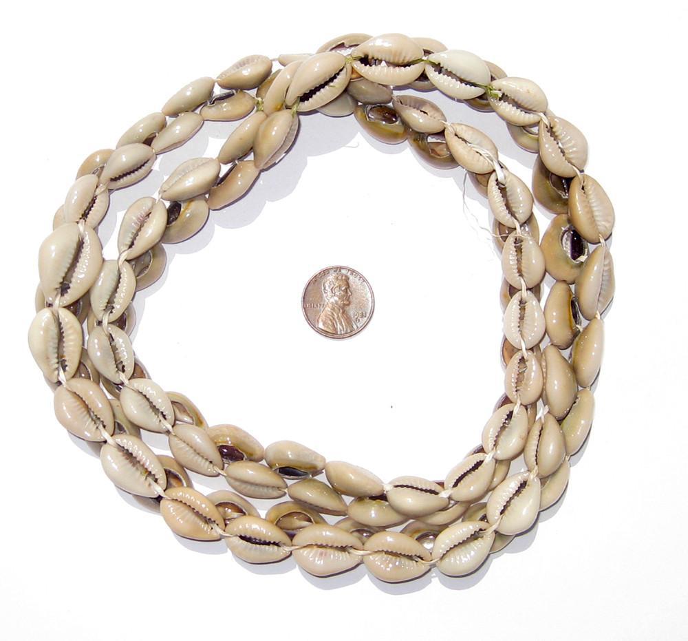 TheBeadChest Kenyan Cowrie Shell Beads 15mm West Africa African White Unusual 24-30 Inch Strand Handmade