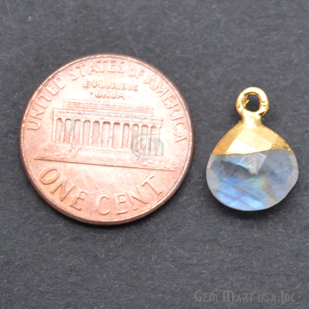 Rainbow Moonstone Pendant, Gold Electroplated 10mm Onion Pendant, DIY Bracelet Charm, GemMartUSA (REM-10279)