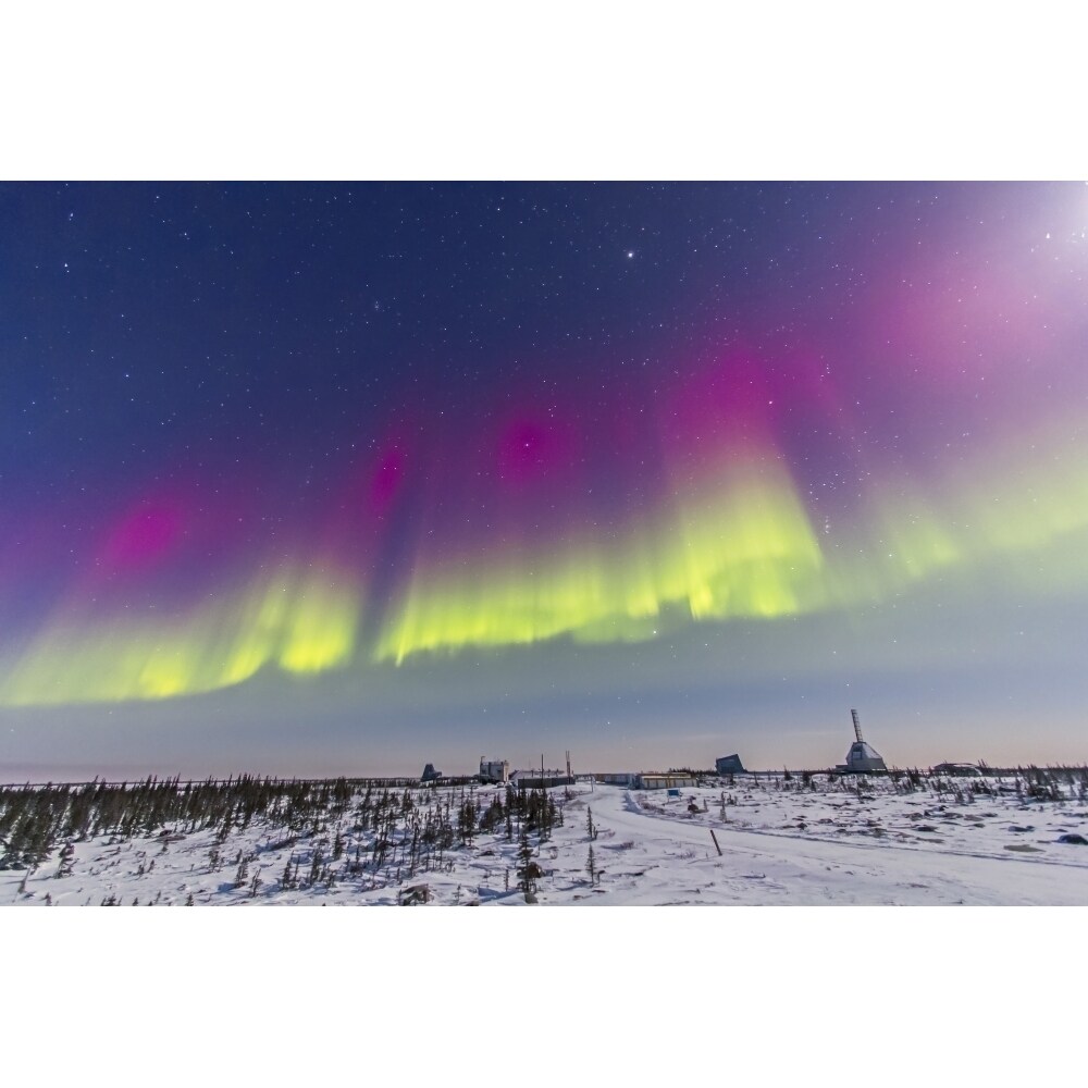 Posterazzi Aurora borealis seen from Churchill  Manitoba  Canada Poster Print