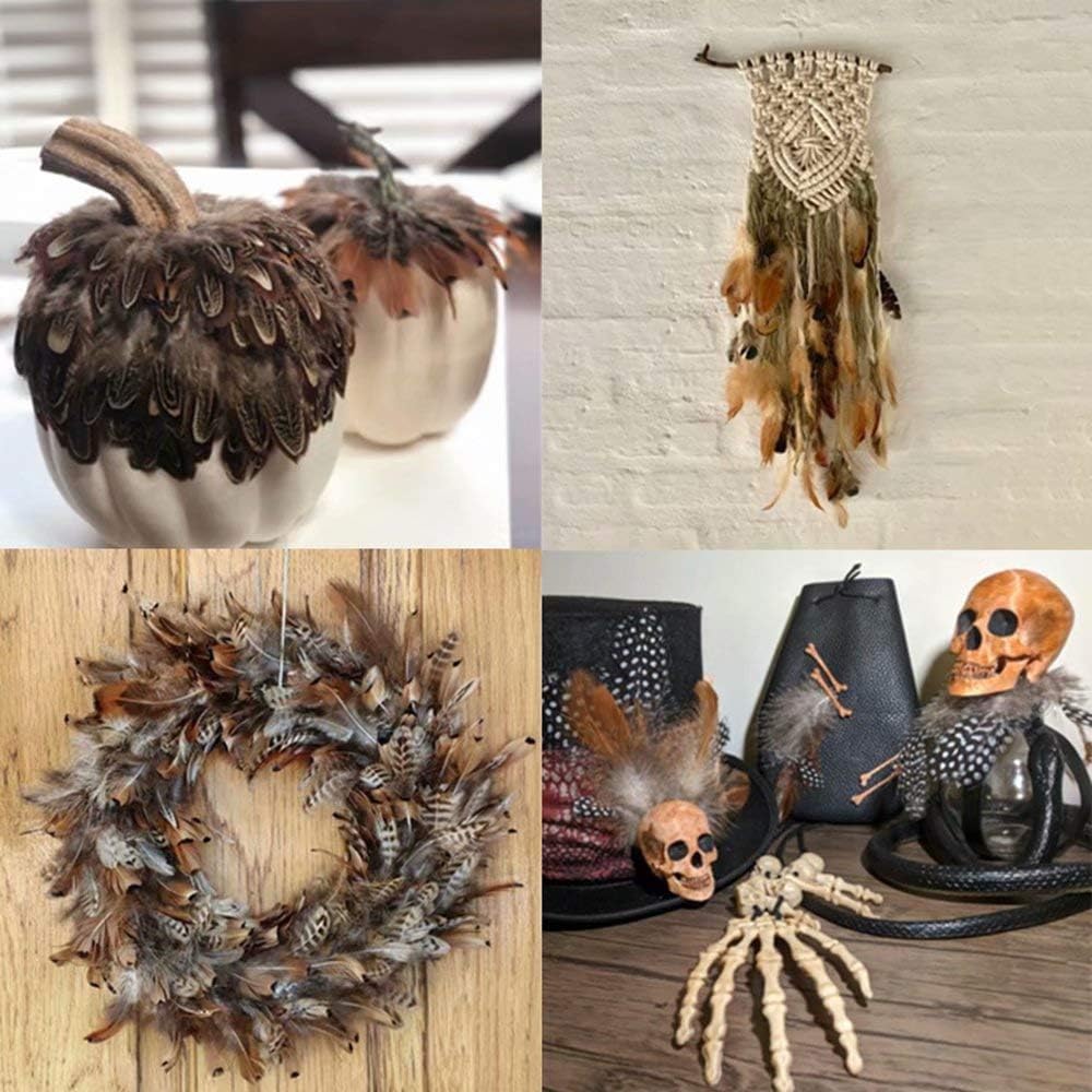 Natural Assorted Mixed Feathers