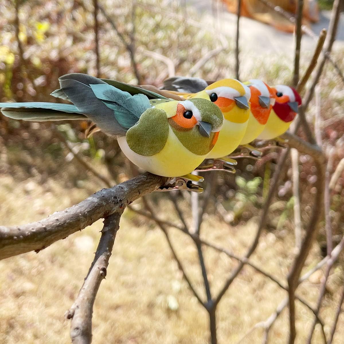 Decorative Realistic Clip Birds