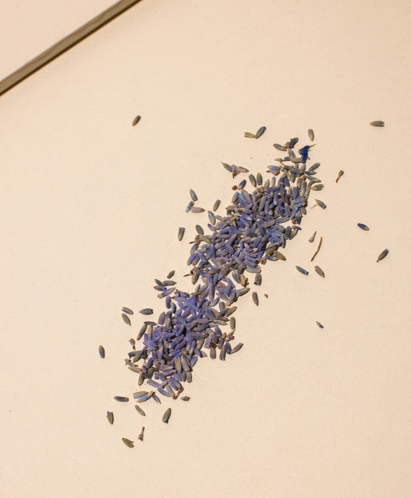 Lavender Buds, Dried Flowers, 2oz or 8oz