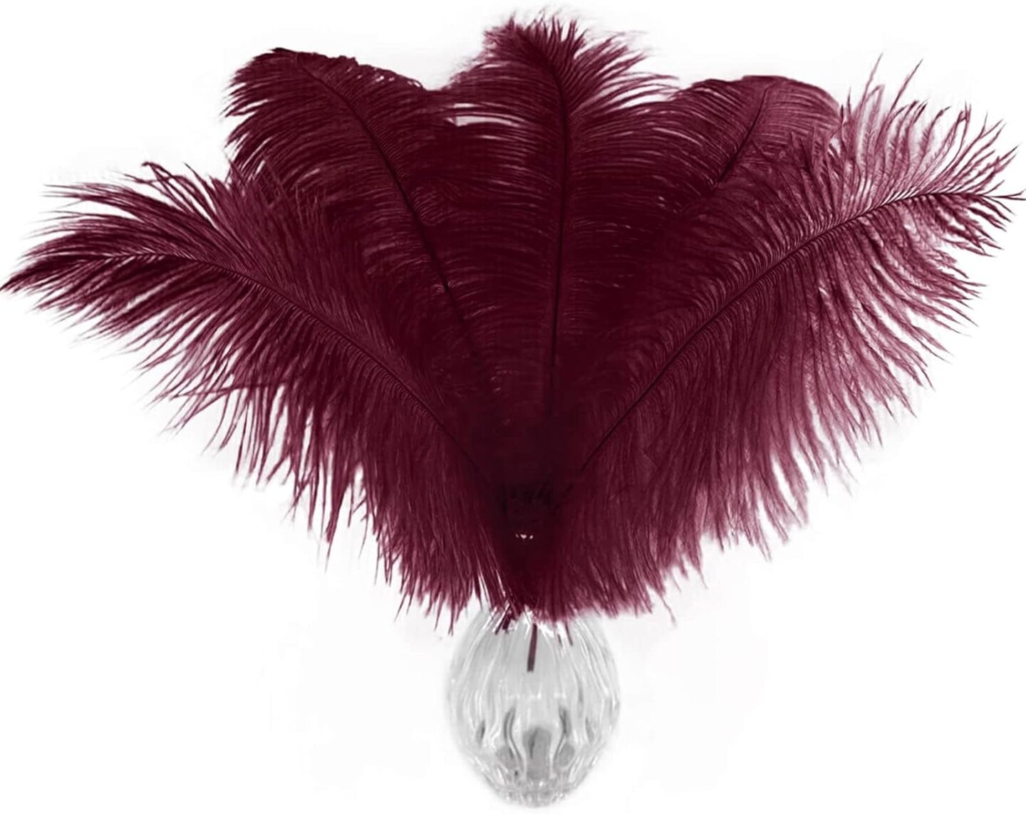 Stylish Natural Feathers