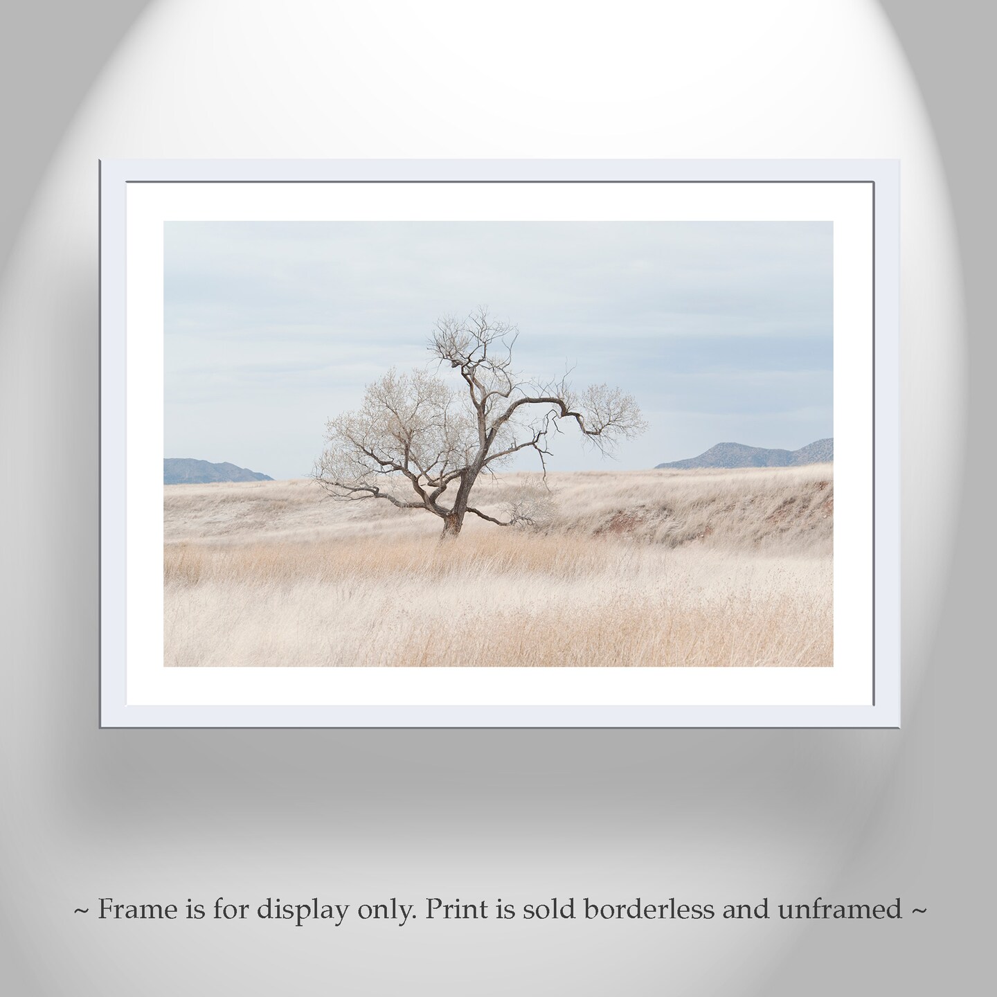 Landscape Print of Southwest Prairie Grasslands | MakerPlace by Michaels