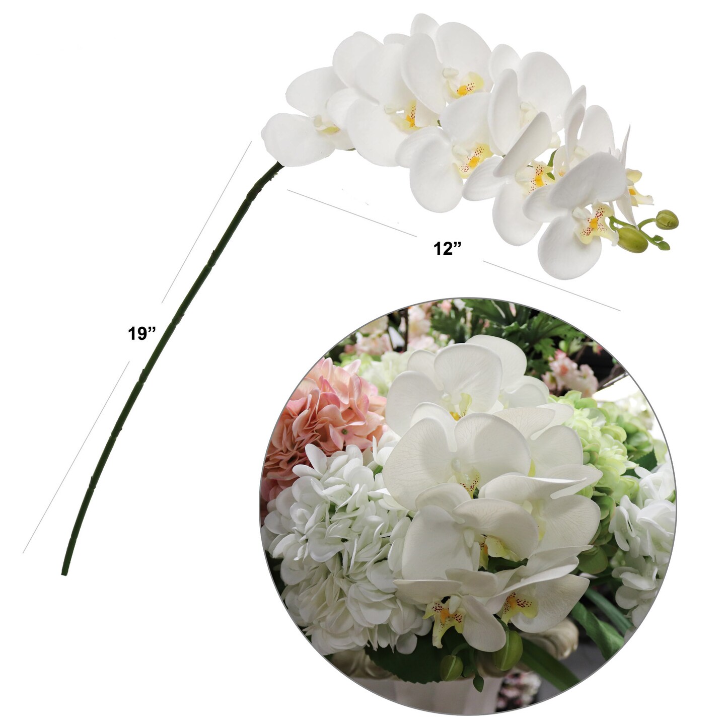 Set of 2 Pure White Phalaenopsis Orchid Stems | 31-Inch Lifelike Artificial Flowers with 10 Silk Blooms for Home Decor, Centerpieces, and Floral Arrangements | Floral Home by Artificial Flowers