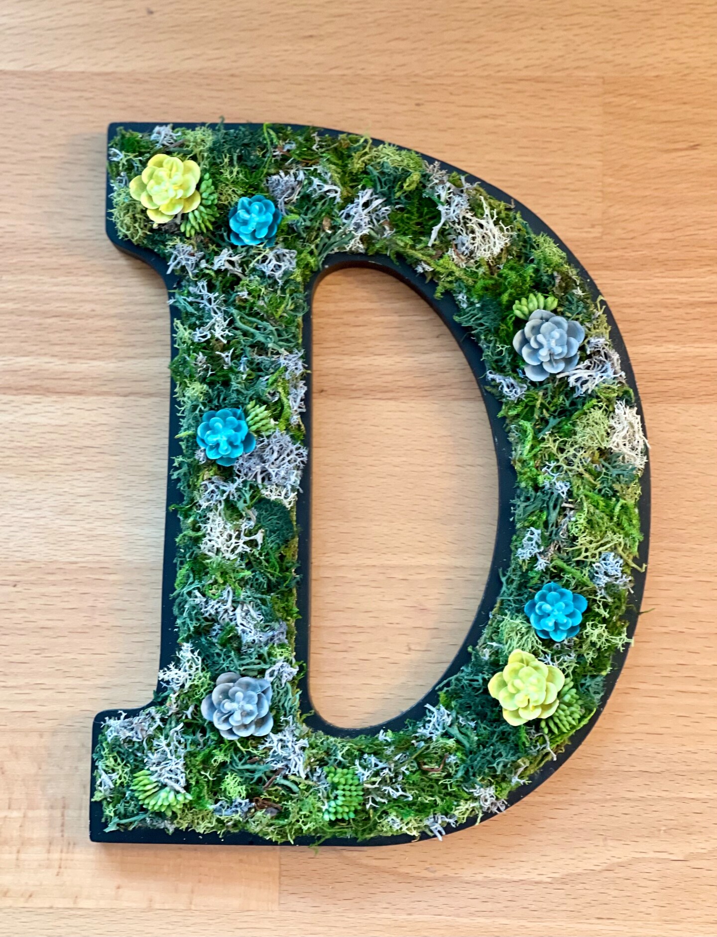Preserved Moss Letter Wall Art, Plant Home Décor, Succulent Letters, Moss Wall Art, Gift for Her product 4
