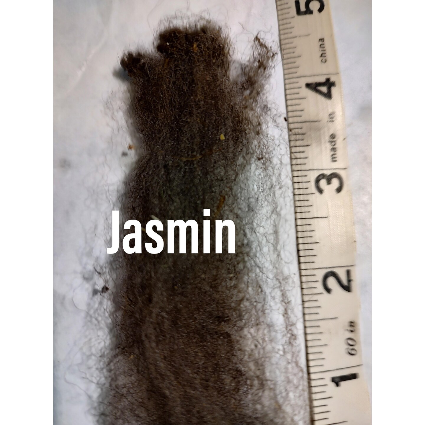 Shetland Raw Fleece, Jasmin product 2