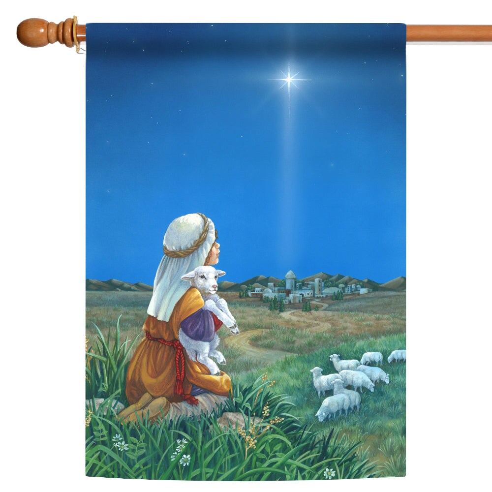 Seventh Carol: While Shepherds Watched Their Flocks By Night | The Humble  Bold